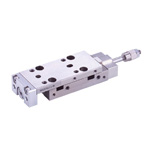 Double acting type with stroke adjustment buffer