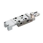 Double acting type with output side and input side stroke adjustment buffers