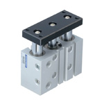 Double acting type with guides