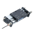 Double acting type with integrated guide