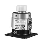 Push button type vacuum manual valve